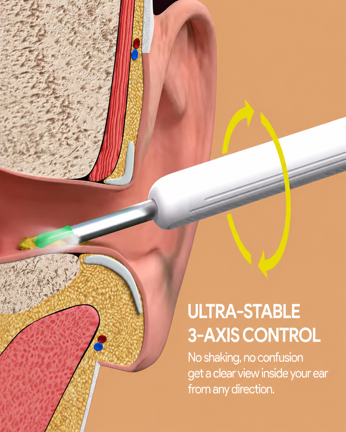 Cross-section illustration of the ear canal